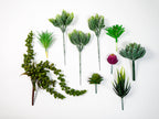 Wall Terrarium Craft Kit