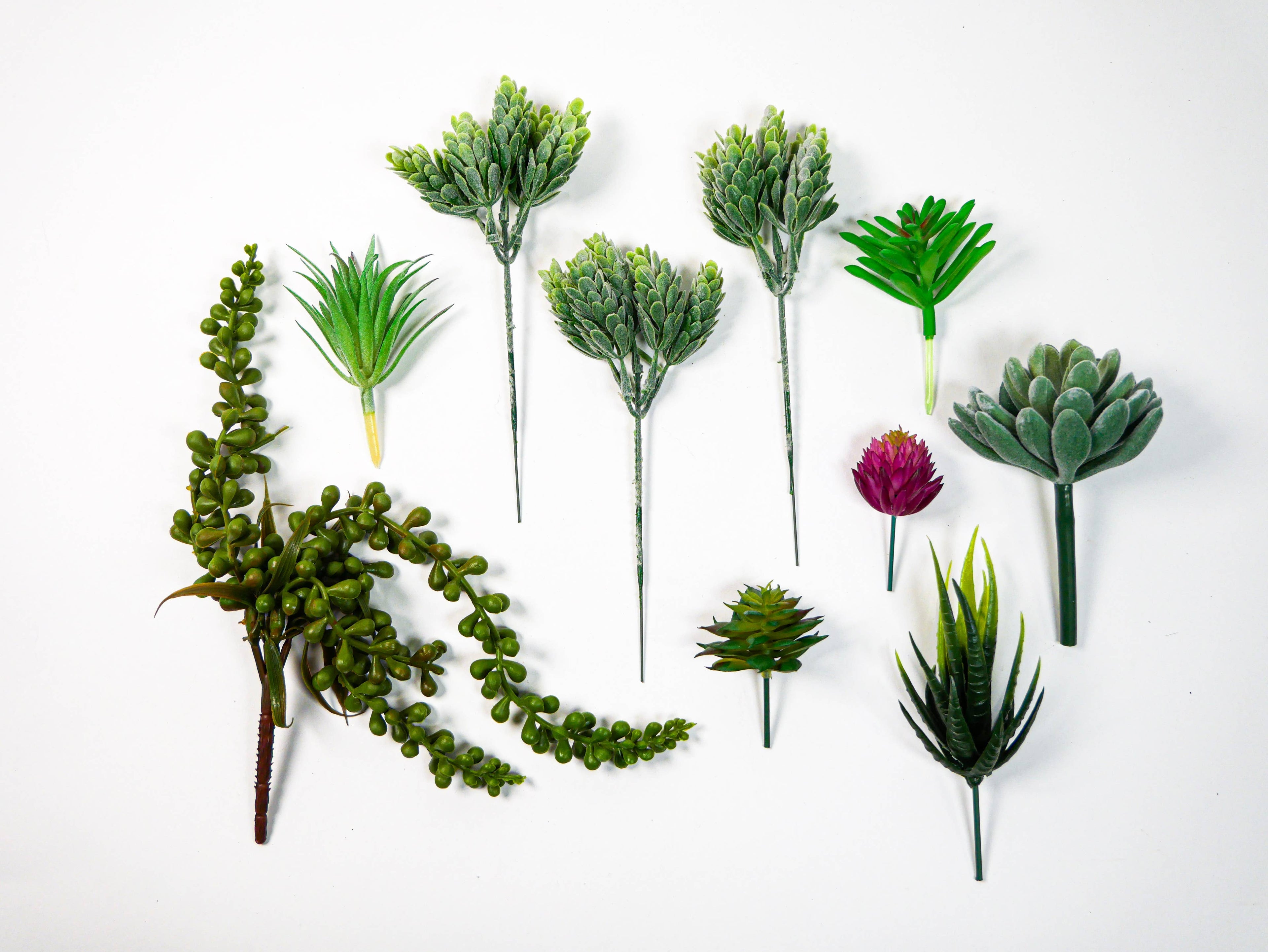 Wall Terrarium Craft Kit