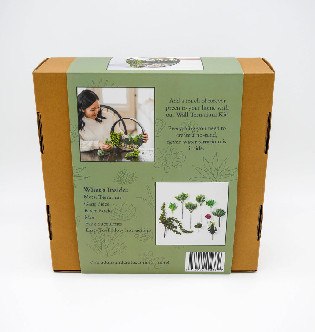 Wall Terrarium Craft Kit
