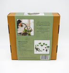 Wall Terrarium Craft Kit