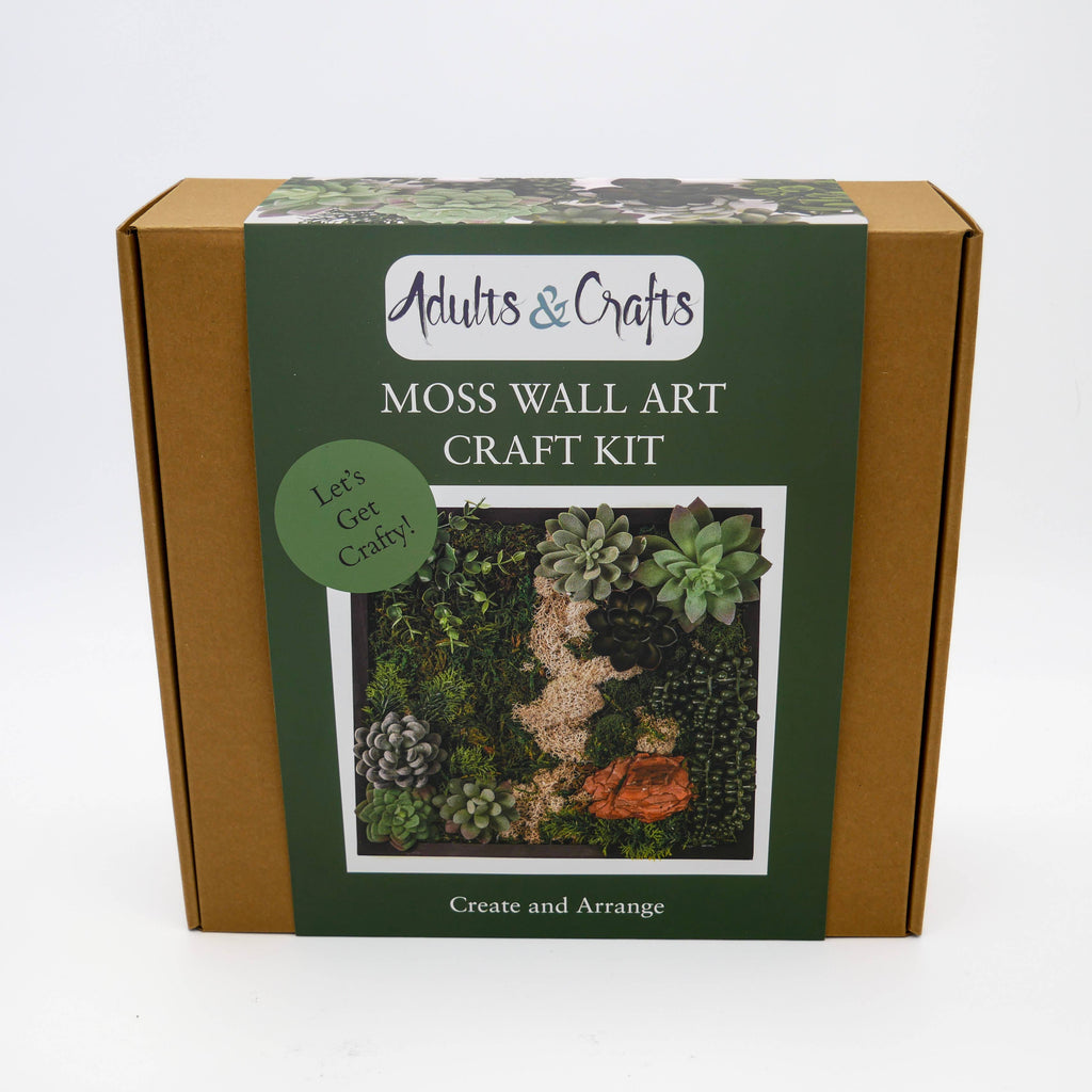Moss Wall DIY Craft Kit