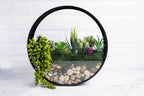 Wall Terrarium Craft Kit
