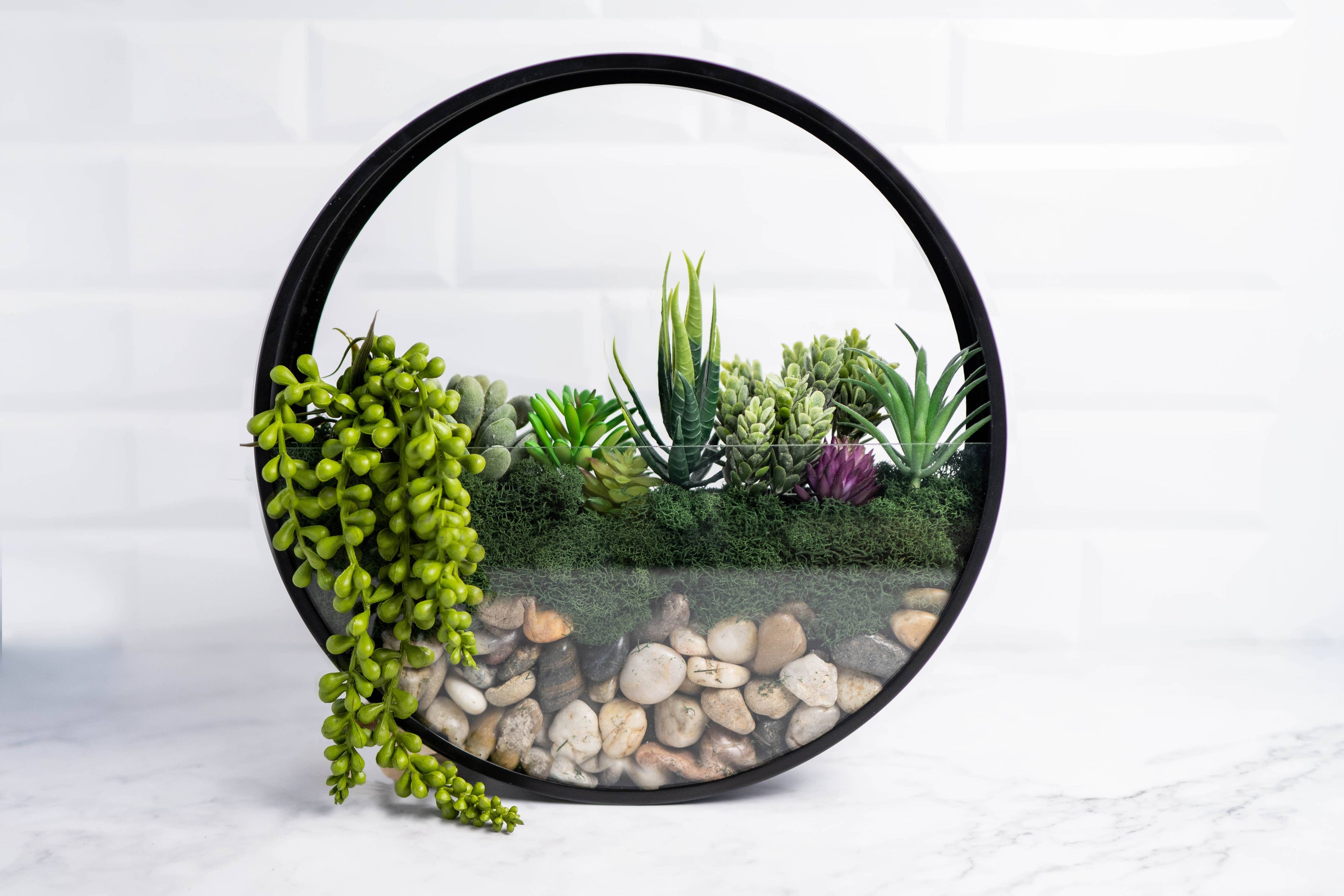 Wall Terrarium Craft Kit