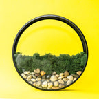 Wall Terrarium Craft Kit