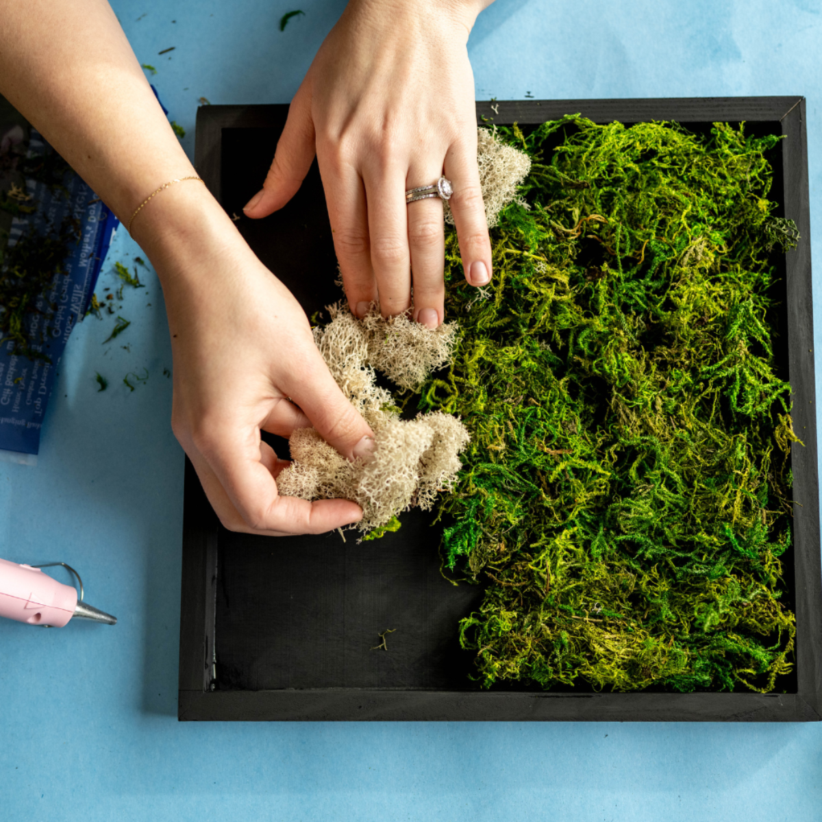 Moss Wall DIY Craft Kit