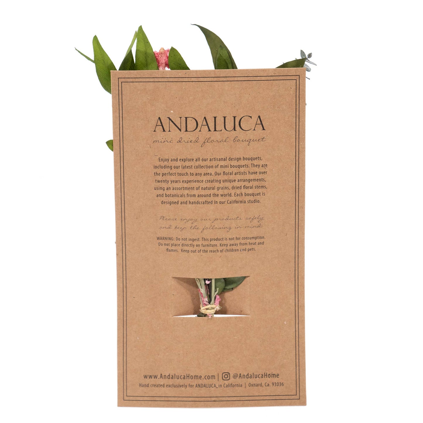 Eucalyptus & Pink Larkspur Mini Bundle
