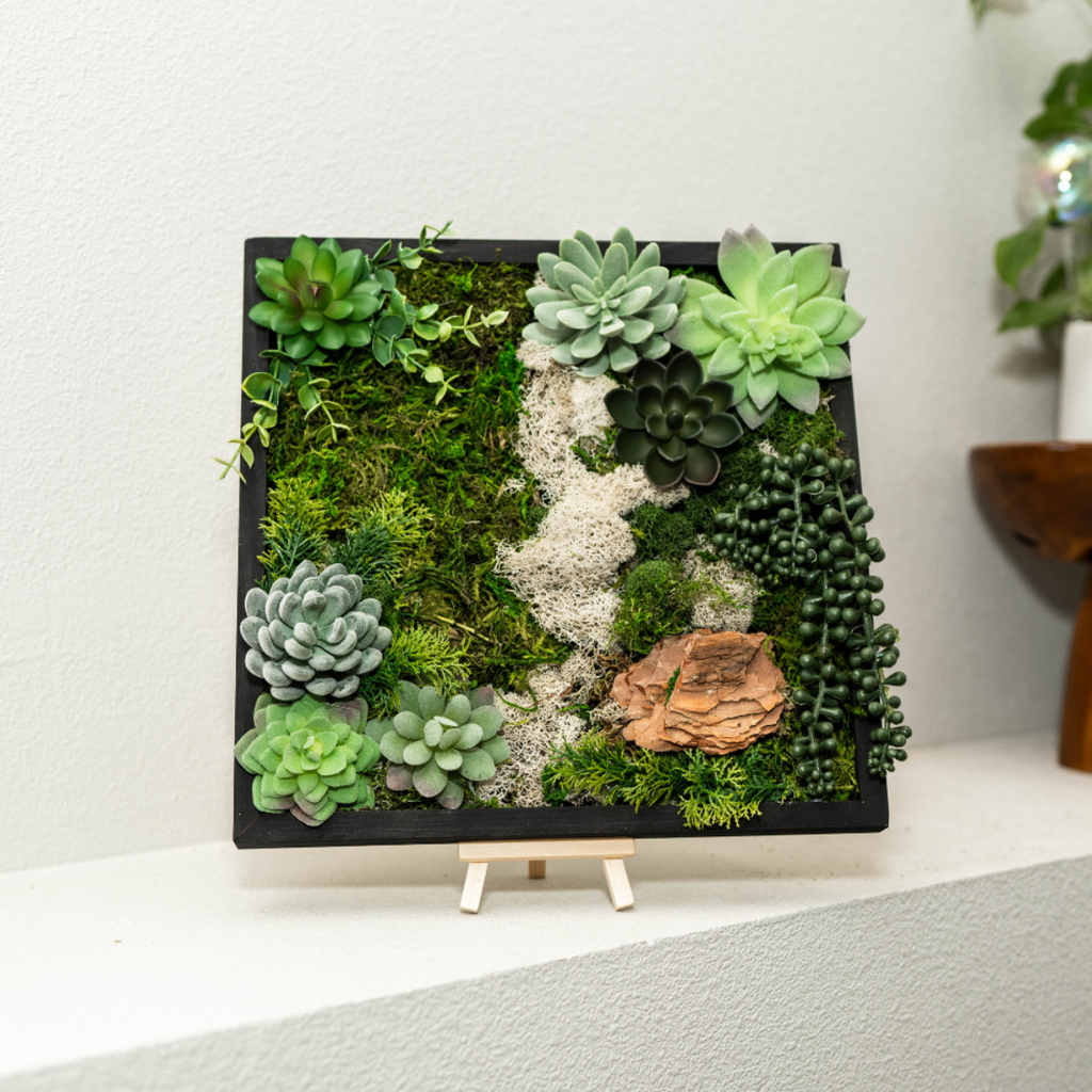 Moss Wall DIY Craft Kit