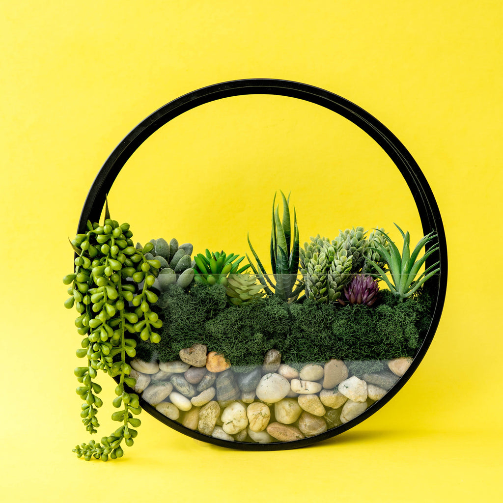 Wall Terrarium Craft Kit