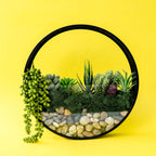 Wall Terrarium Craft Kit