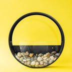 Wall Terrarium Craft Kit