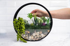 Wall Terrarium Craft Kit