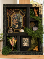 Custom Curio Cabinet