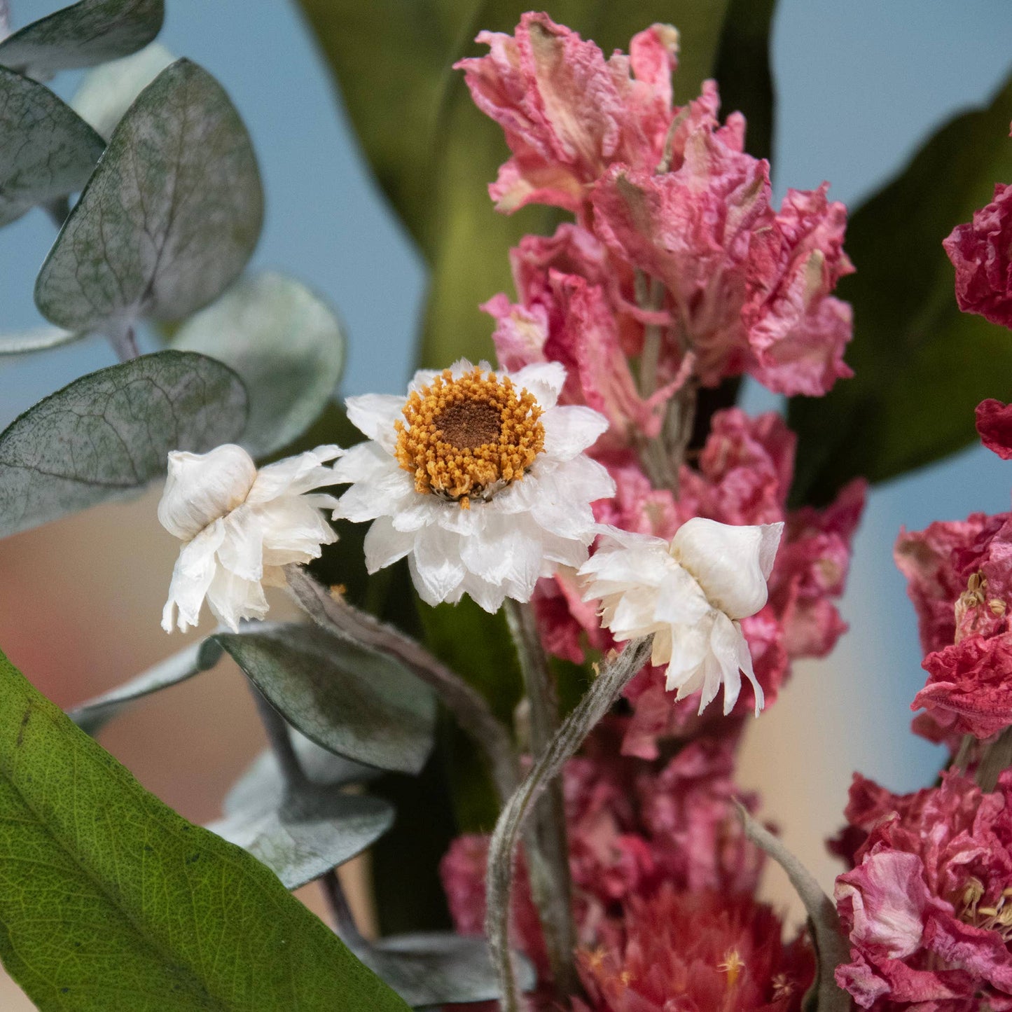 Eucalyptus & Pink Larkspur Mini Bundle