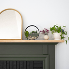Wall Terrarium Craft Kit