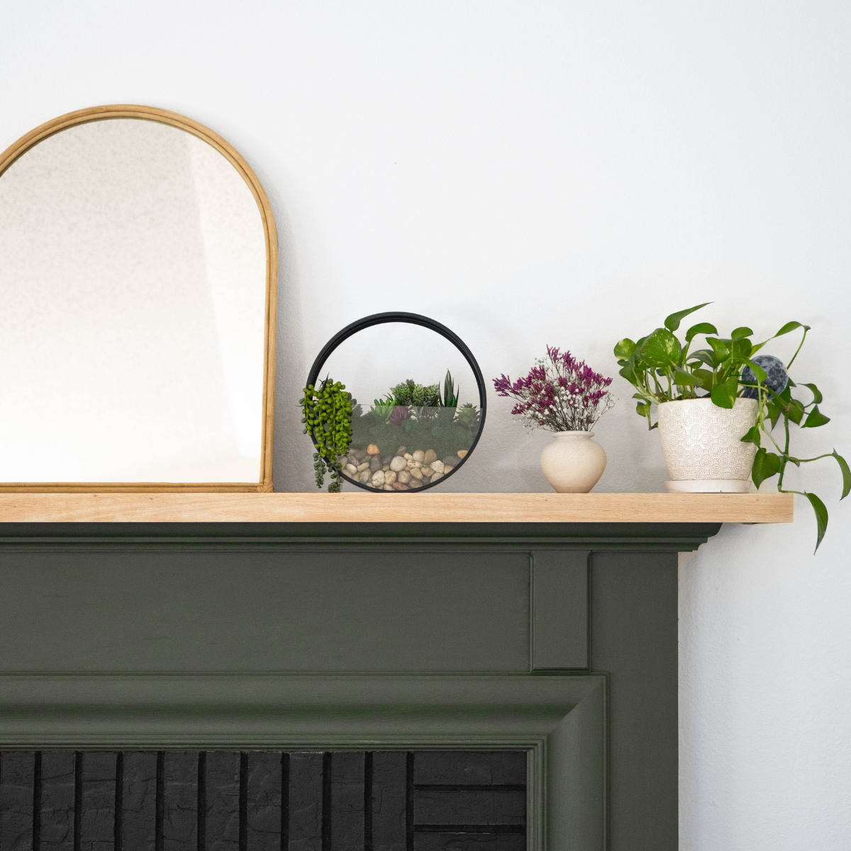 Wall Terrarium Craft Kit