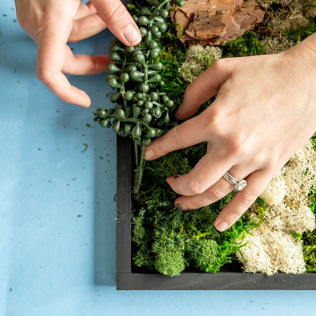 Moss Wall DIY Craft Kit