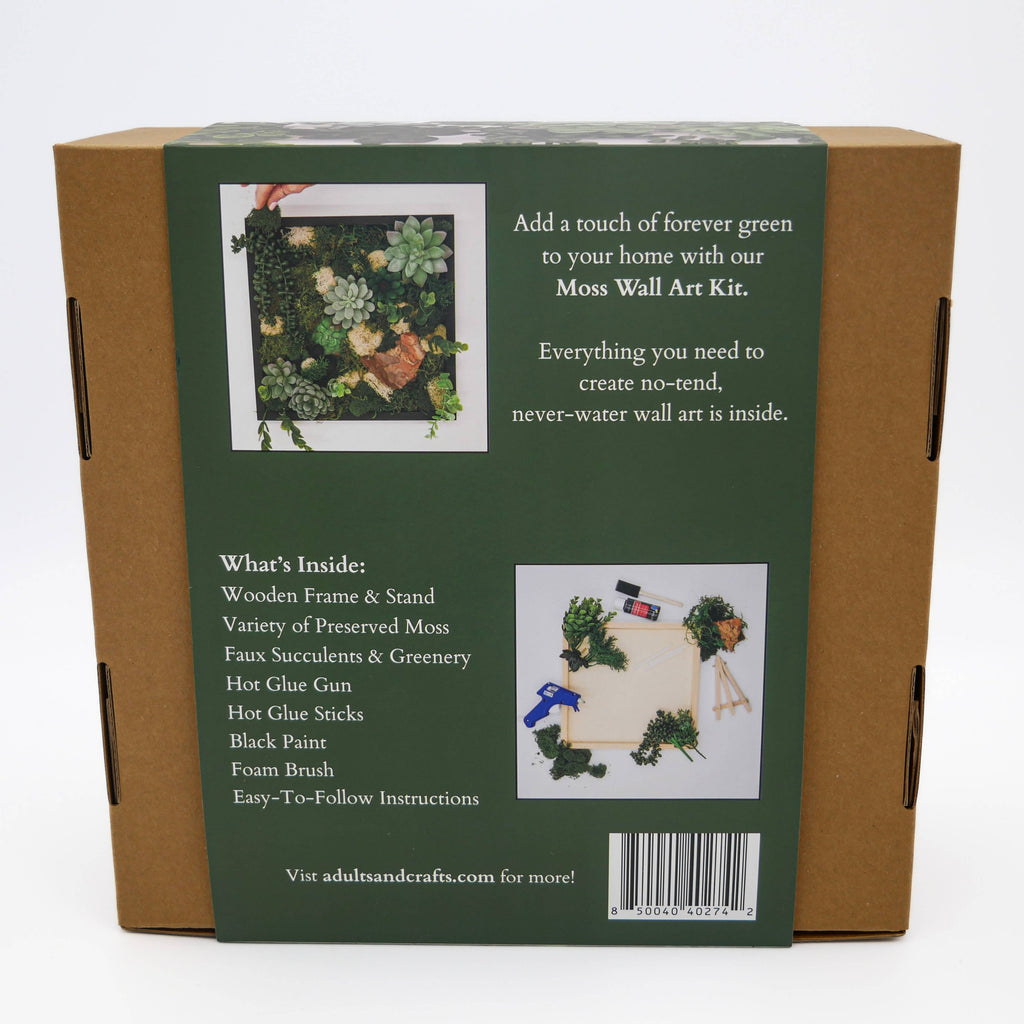 Moss Wall DIY Craft Kit