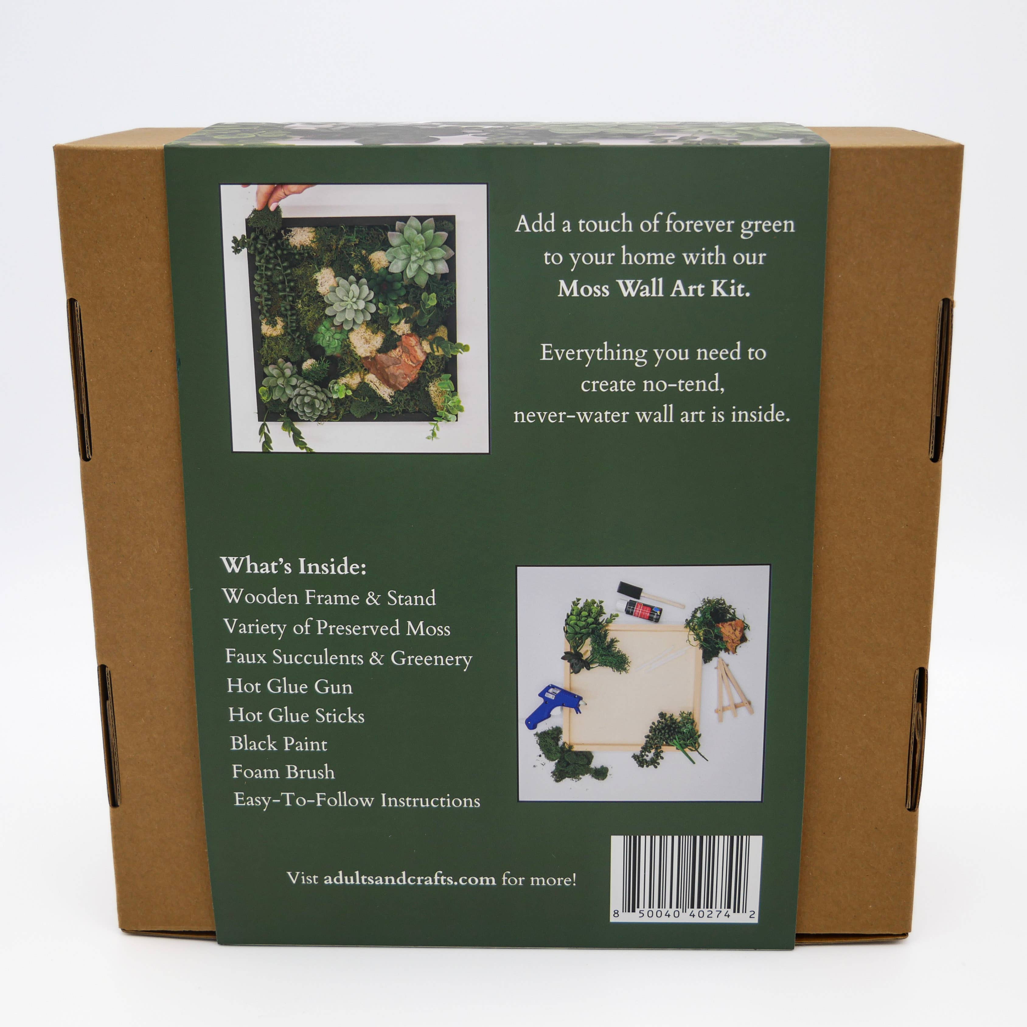 Moss Wall DIY Craft Kit